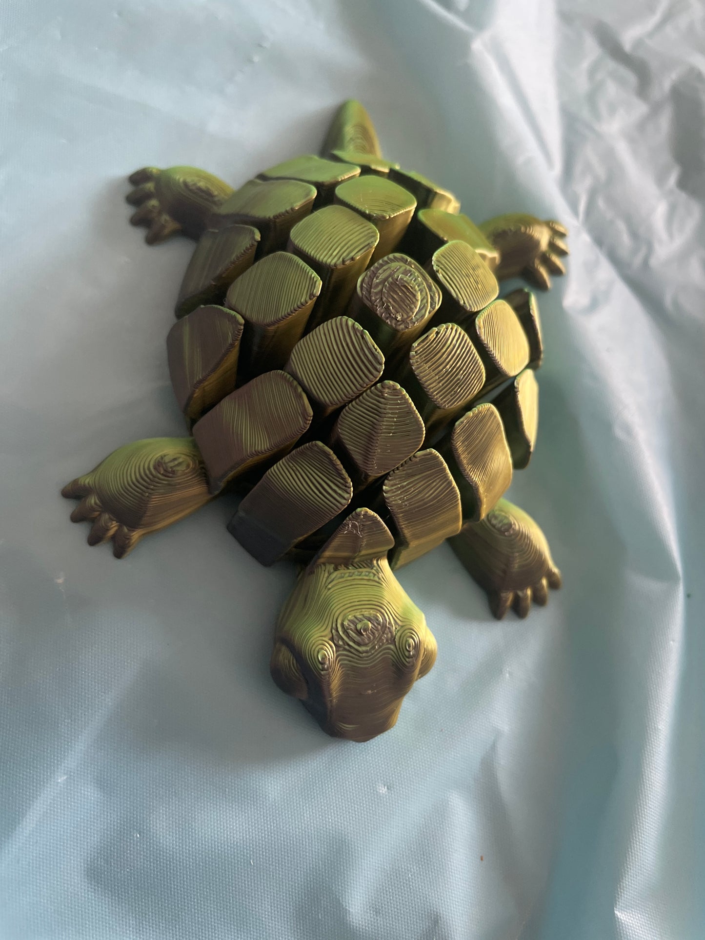 38 Zen Turtle