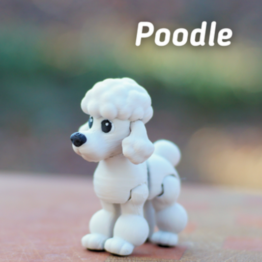 37 Pondering Poodle