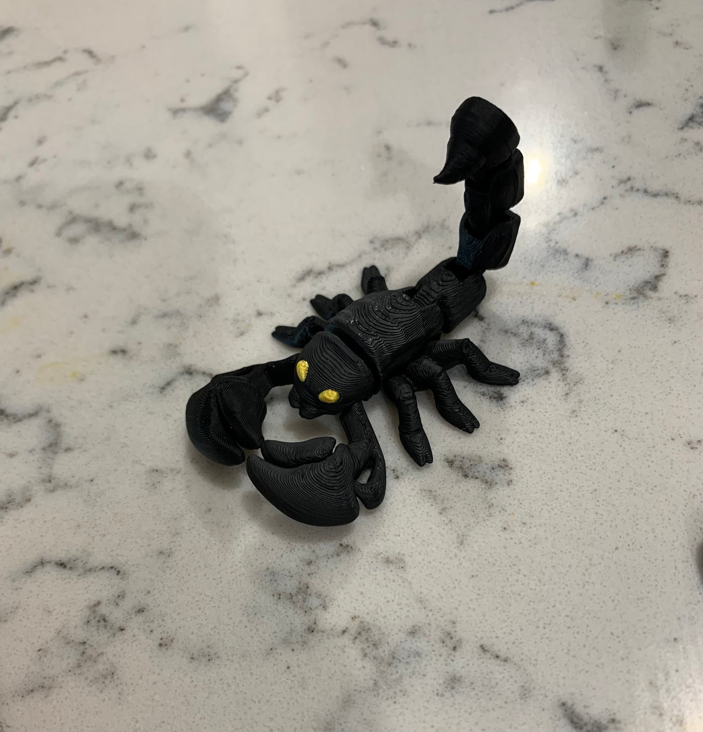 20 Midnight Scorpion