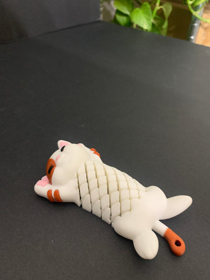 39 Pat, the cat