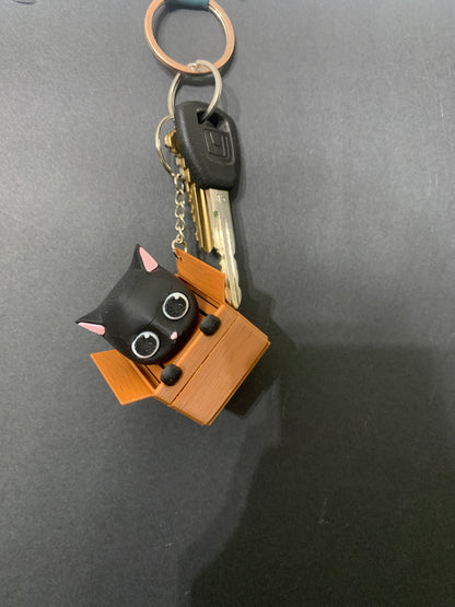 58 black cat in a box