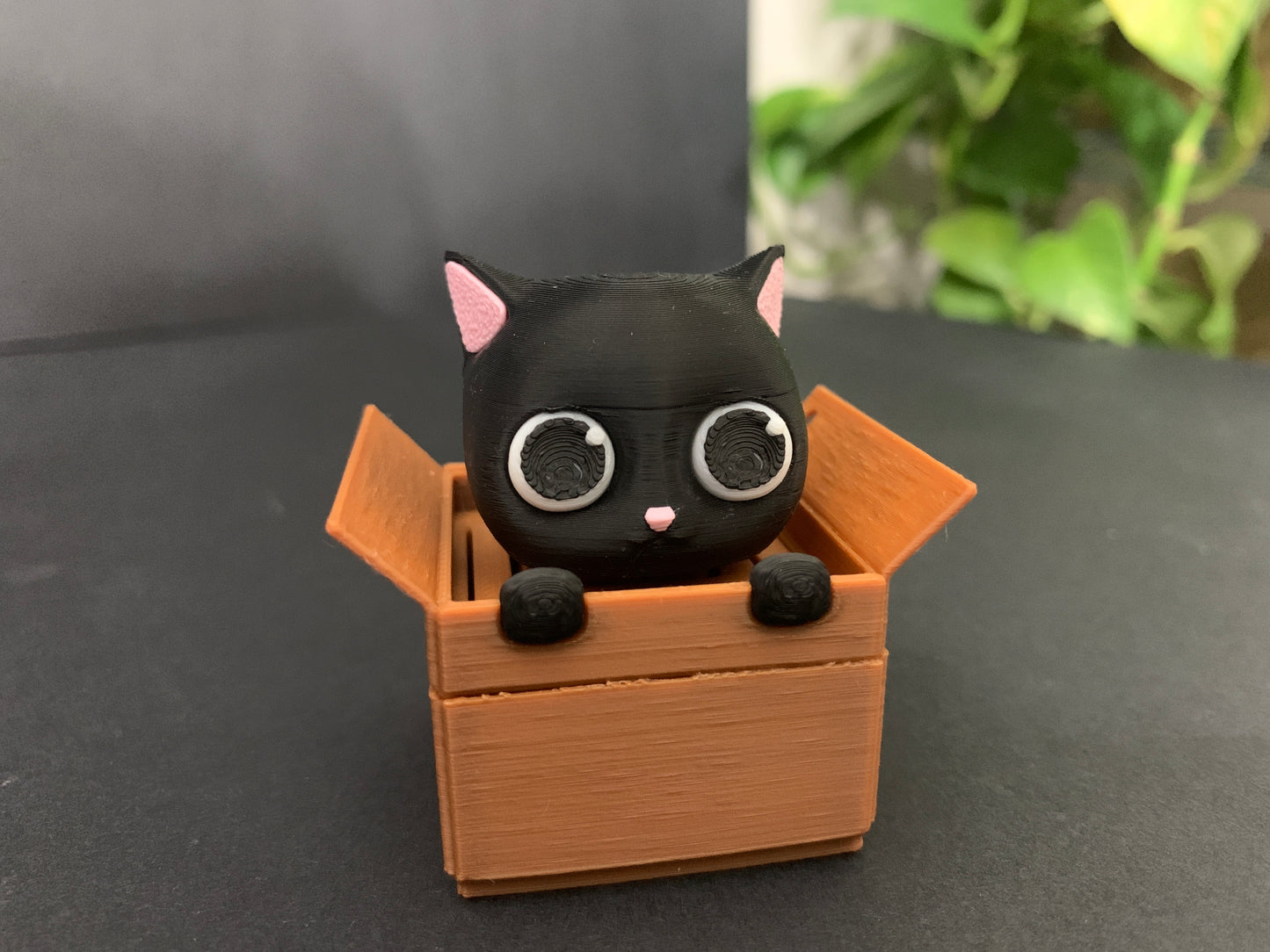 58 black cat in a box