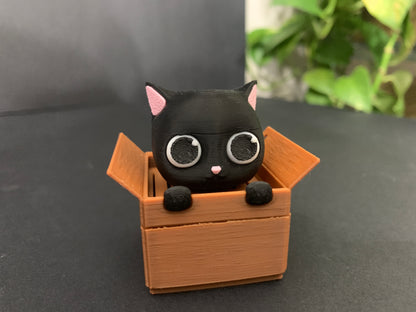 58 black cat in a box