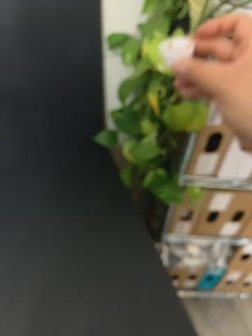 55 sprinkles clicker